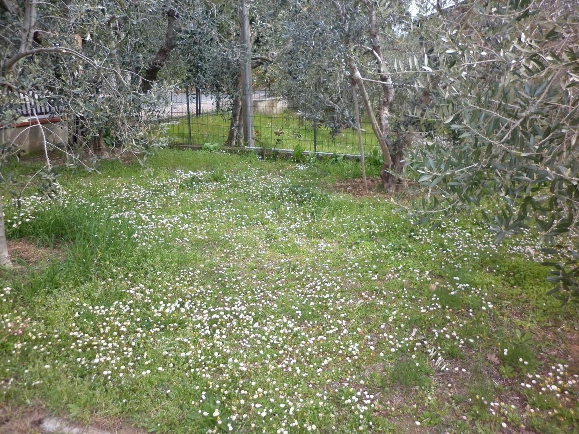 Casa Gli Ulivi Villa Montepulciano Stazione Kültér fotó