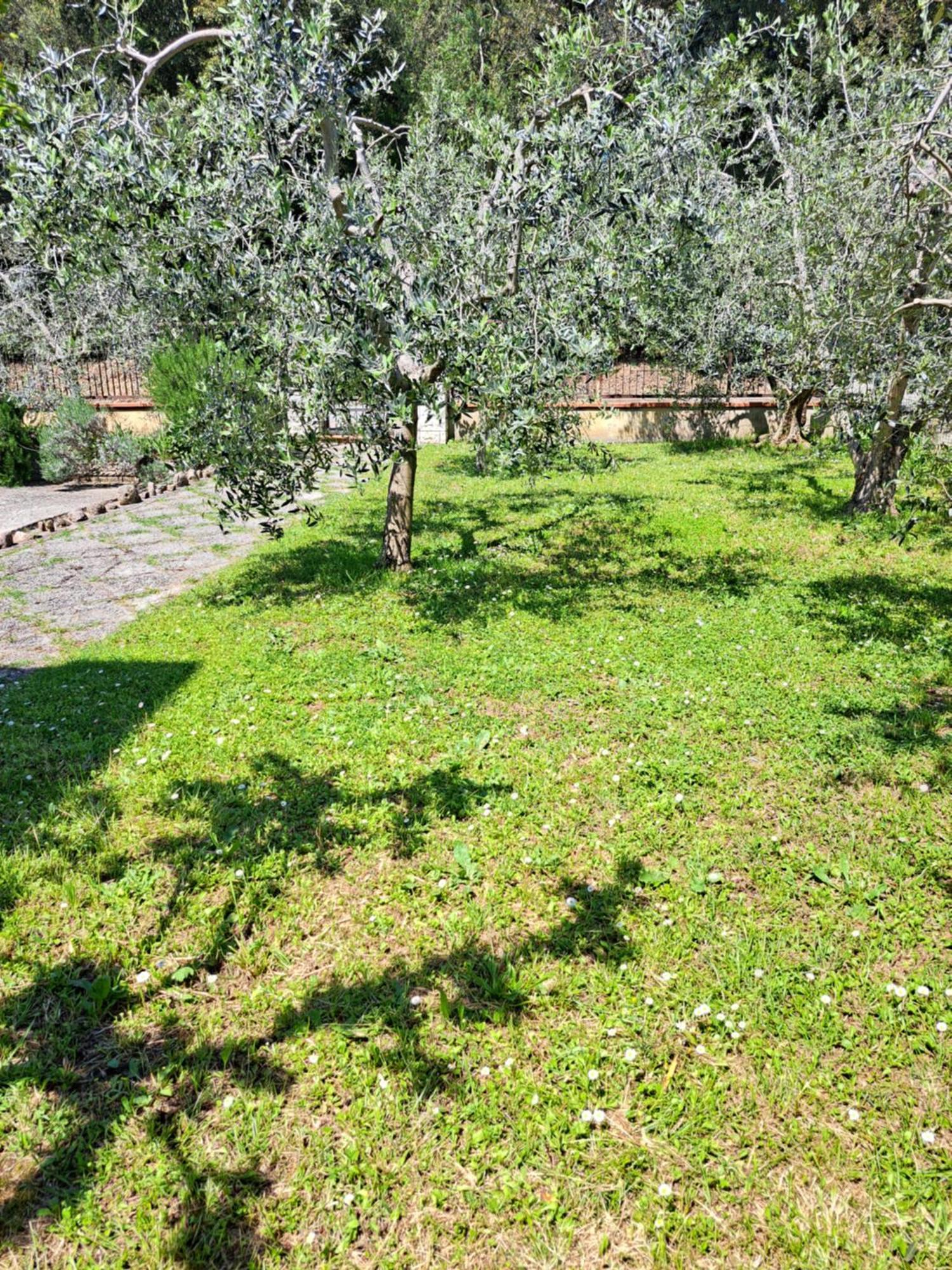 Casa Gli Ulivi Villa Montepulciano Stazione Kültér fotó