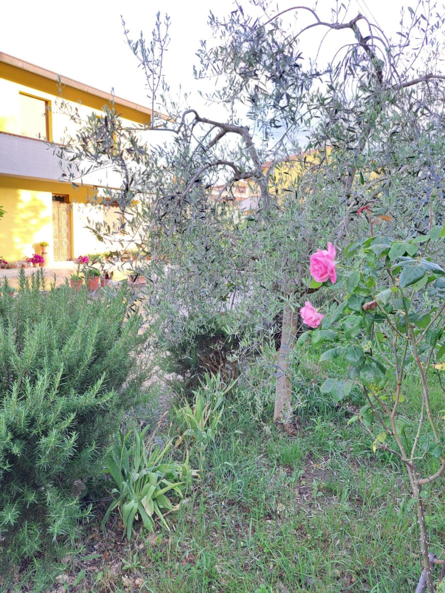 Casa Gli Ulivi Villa Montepulciano Stazione Kültér fotó