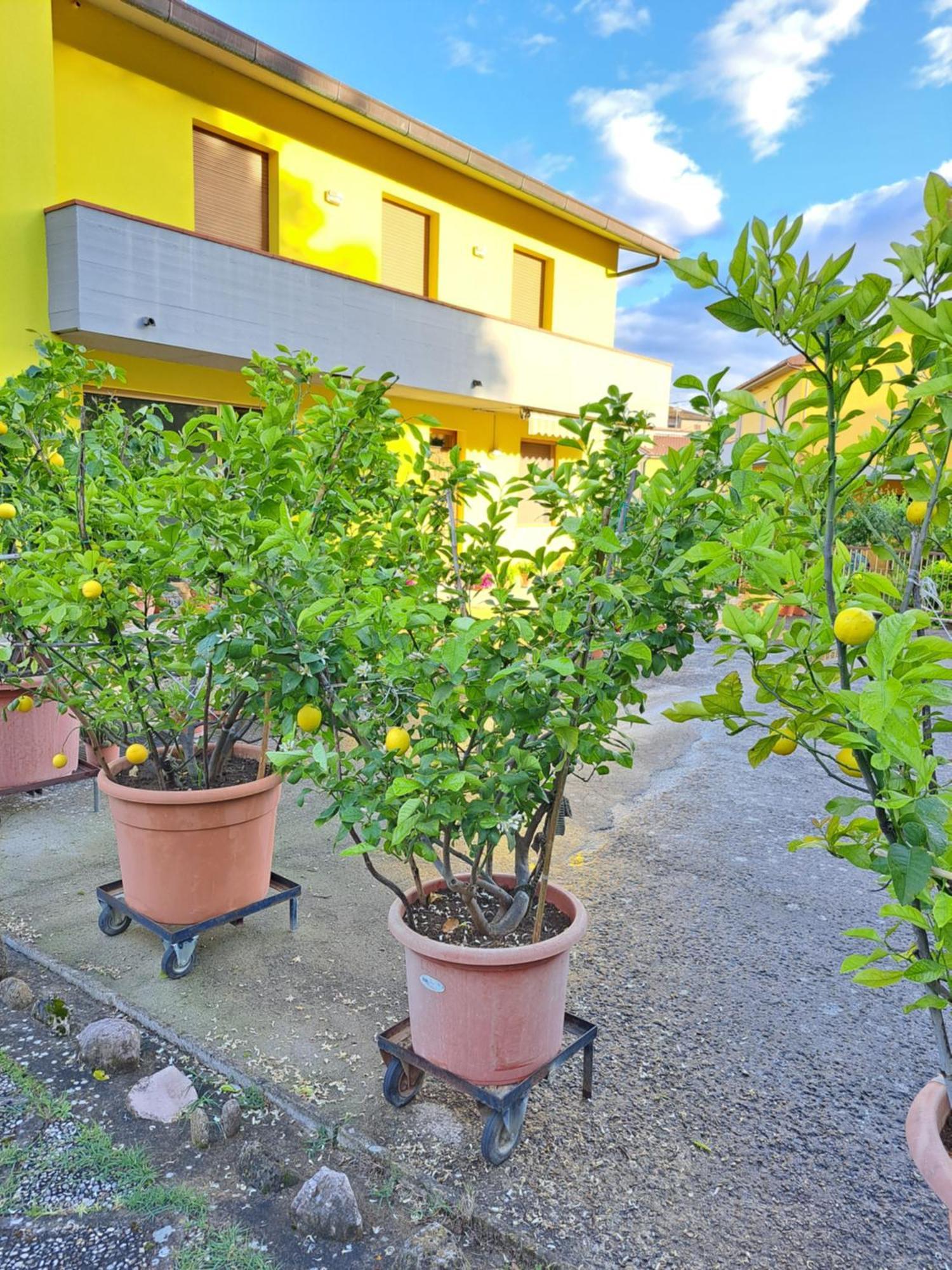 Casa Gli Ulivi Villa Montepulciano Stazione Kültér fotó